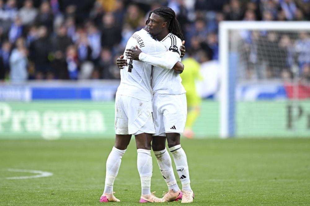 迷们的神经 迷们的神经